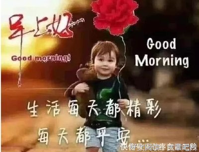 情的句子