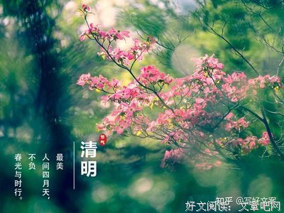 纵然万紫千红，我只取一朵。句子大全