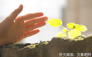 要多坚强经典名句