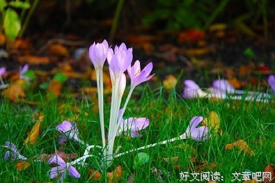 有关时间之舟的句子