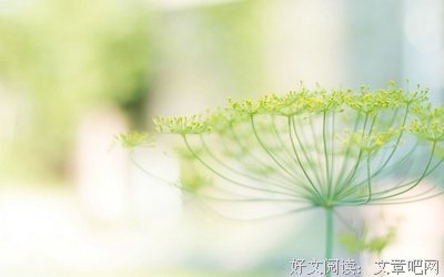 暗月的句子