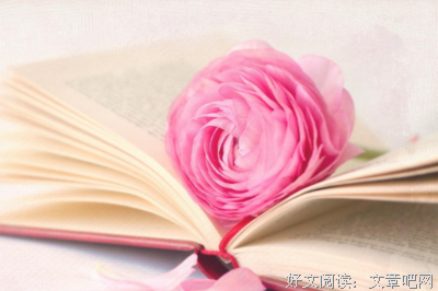 有关锦瑟的句子