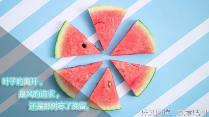不挽留不将就的优美句子