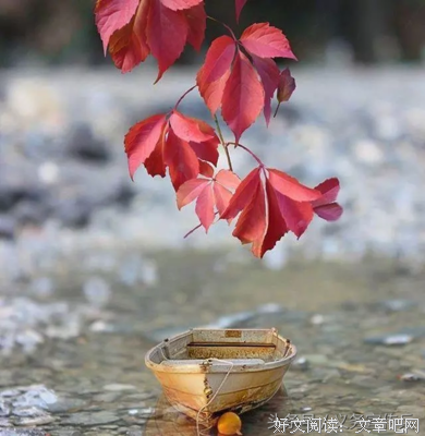 《悟》的句子