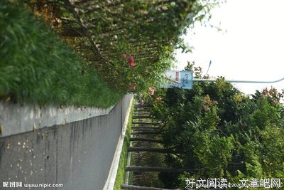 有关路非的句子