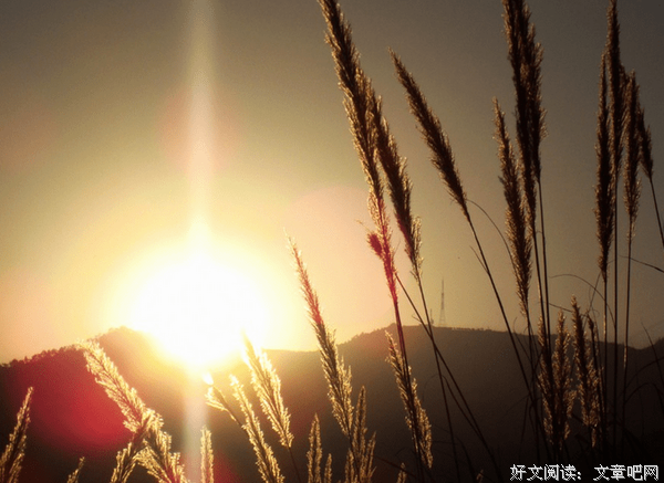 生活梦的优美句子