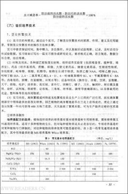 《DK园艺智慧》读后感1000字