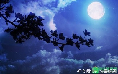 月亮优美的句子