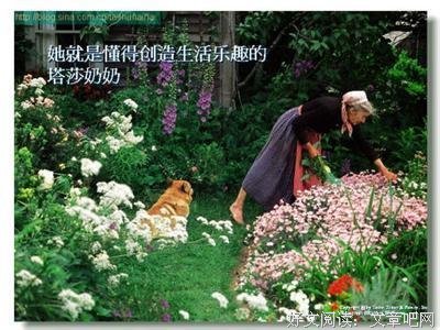 塔莎奶奶的句子