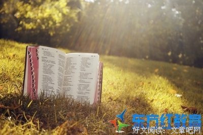 《耶稣泥板圣经之谜》的读后感大全