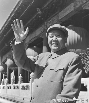 最全的《你说，后来》经典语录大全
