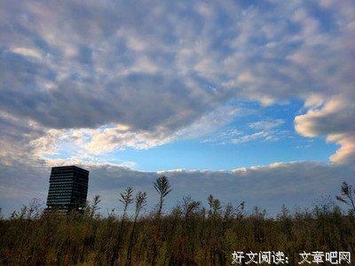 《其实我还好》好段摘抄大全