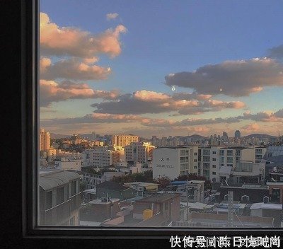 《养我一辈子》小说摘抄大全