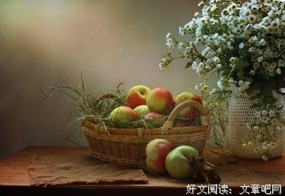 《水果篮子》经典观后感1000字