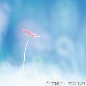 谁在银闪闪的地方，等你读后感精选
