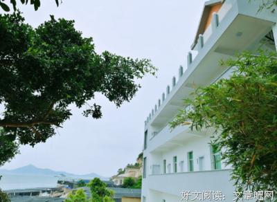 《藏在这世间的美好》读后感100字