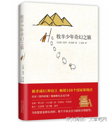 万物枯荣的读后感大全