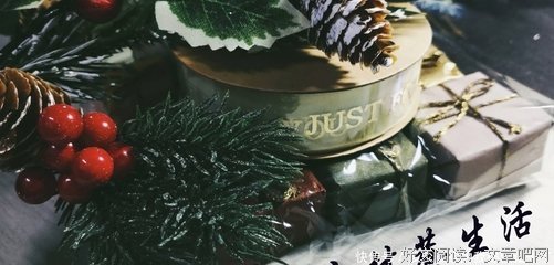 《那时，我们还不怕相爱》读后感1000字