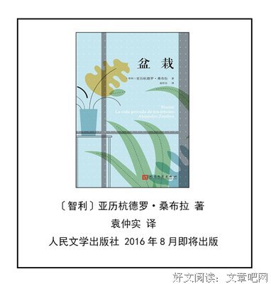 格兰塔3·巴西最佳青年小说家的读后感大全