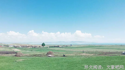 关于栀子花开的句子