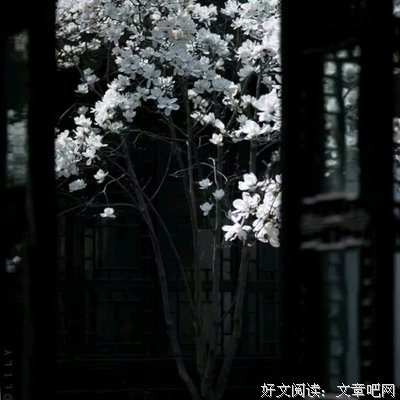 瓜子反了名句欣赏