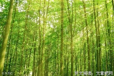 这些名言很经典