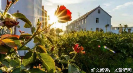 佳句年年有，今年特别多经典的句子