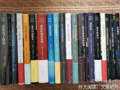 米格尔在智利的地下行动读后感锦集