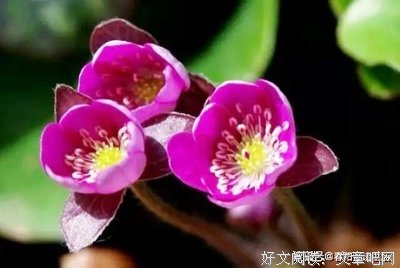 关于事缓则圆的句子