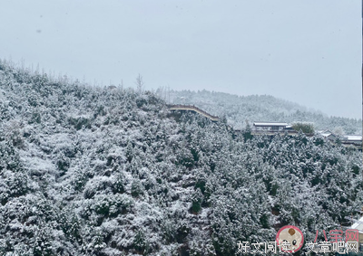 霜雪吹满头，也算是白首句子大全