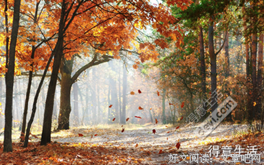 这是个青春季节