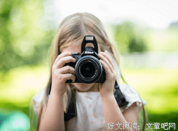 灼灼其华的优美句子