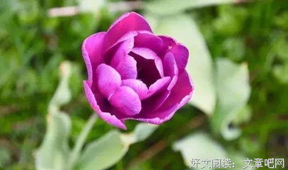 《有些东西总能触动你的心》的句子