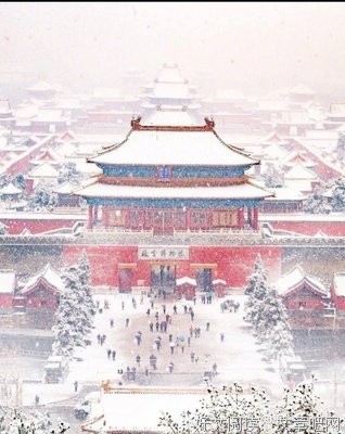 有关罗青梅名言大全
