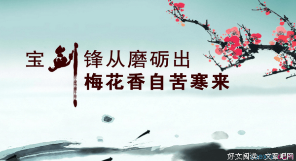 关于金静茹名言警句