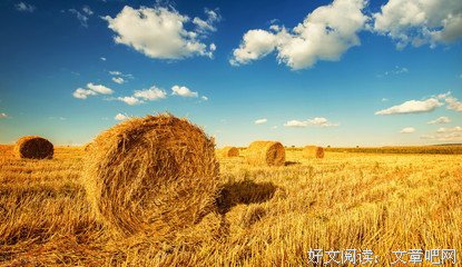 最新的《写作这回事》经典语句大全