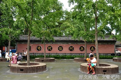最全的《北京法源寺》经典句子大全