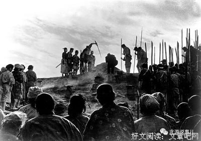 《七武士》经典影评集