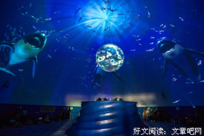 挠挠大怪物的读后感大全