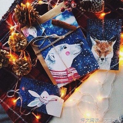 《想太多的猪6：反正都会过去》经典读后感有感