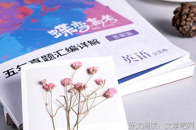 《极致服务》读后感1000字