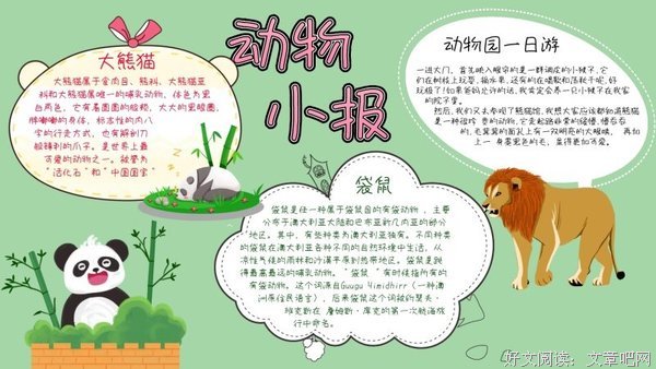 《最后的熊猫》读后感精选