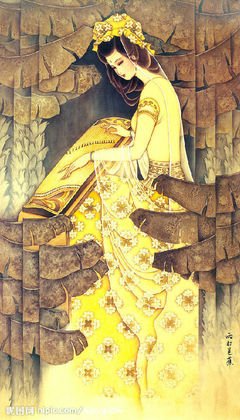 《美人图》经典读后感有感