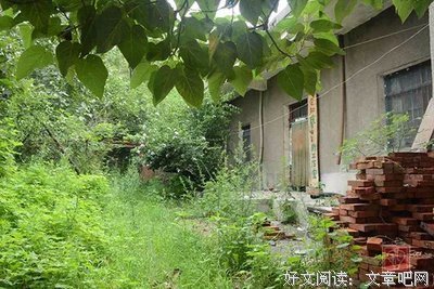 描写豆蔻年华的语句摘抄