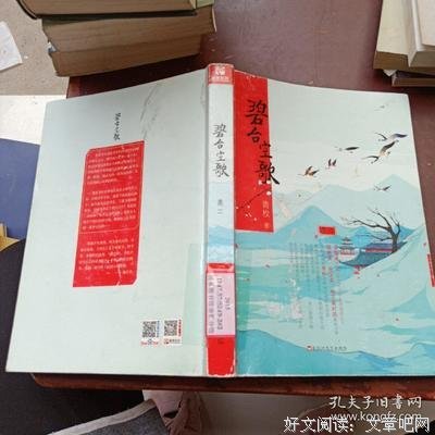 碧台空歌读后感1000字