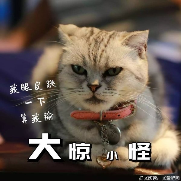 有关大惊小怪的美句摘抄