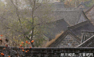 《社会学》读后感摘抄