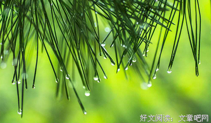 赠与你优美的句子
