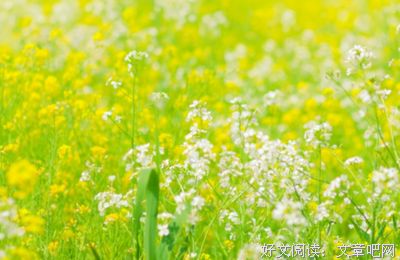 人生优美的句子