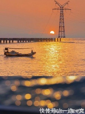 关于故人归。的优美句子